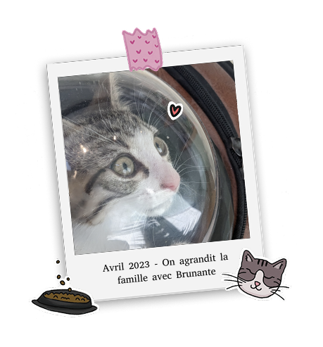 Avril 2023, arrivée de Brunante